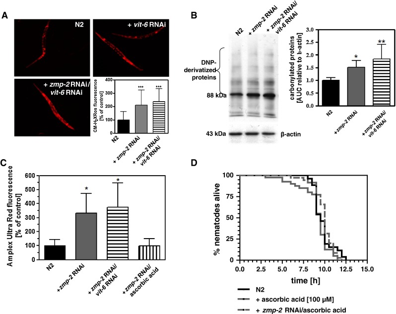 Fig. 2