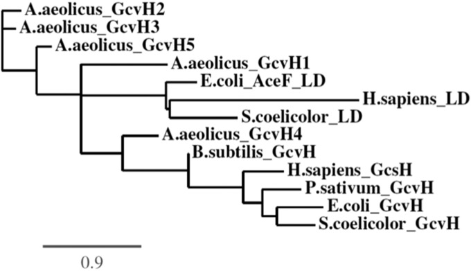 Fig. 6.