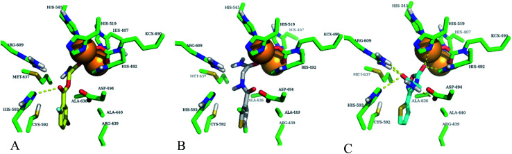 Fig. 8