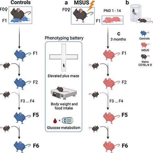 Figure 1: