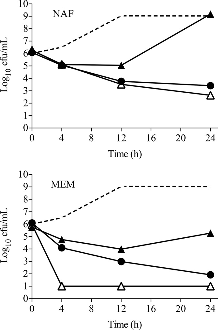 Fig 4