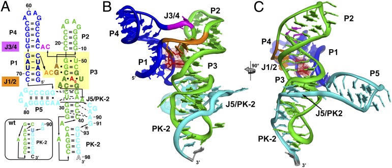 Fig. 2.