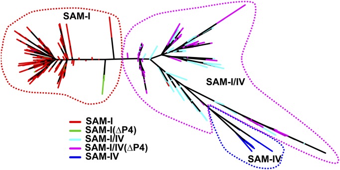 Fig. 6.