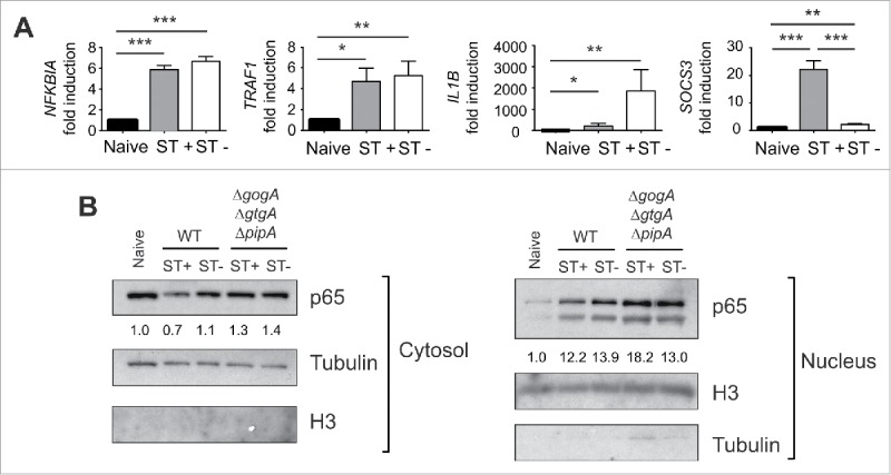 Figure 9.