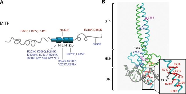 Figure 1.