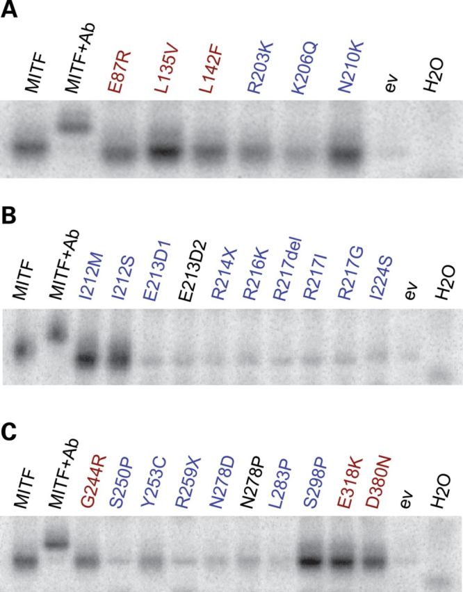 Figure 2.