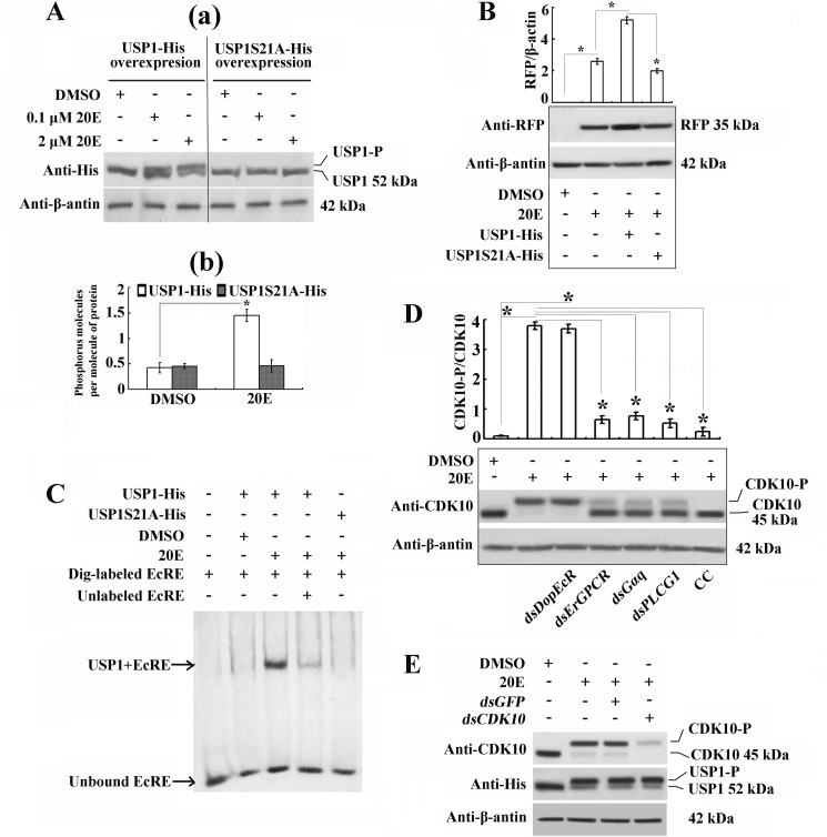 FIGURE 10.