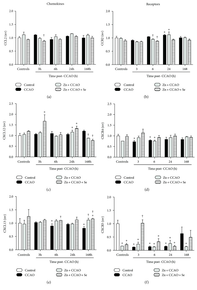 Figure 6