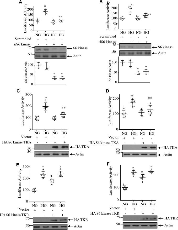 Figure 17.