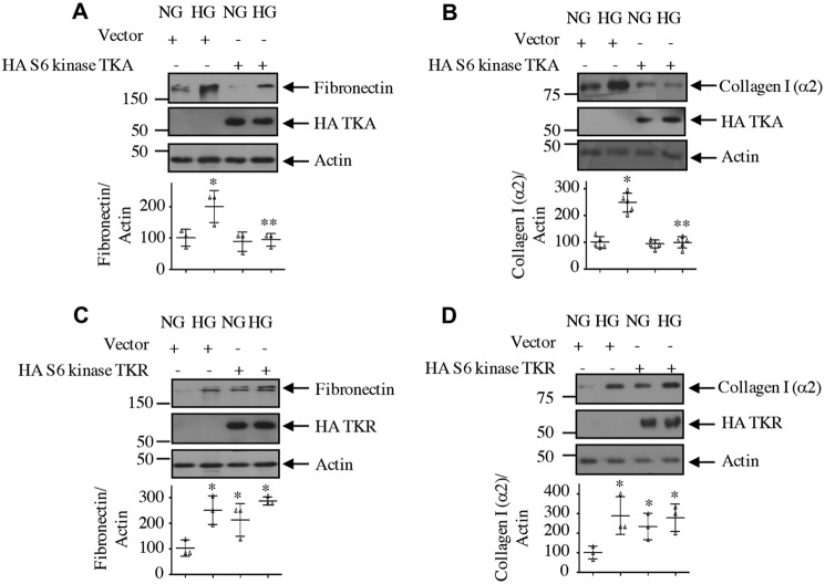 Figure 15.