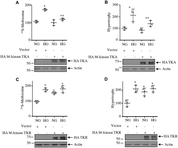 Figure 14.