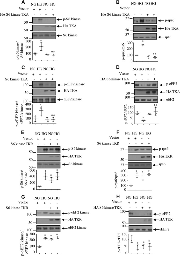 Figure 10.