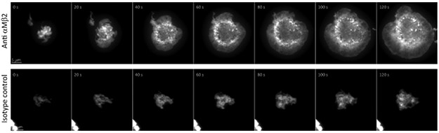 Extended Data Fig. 3