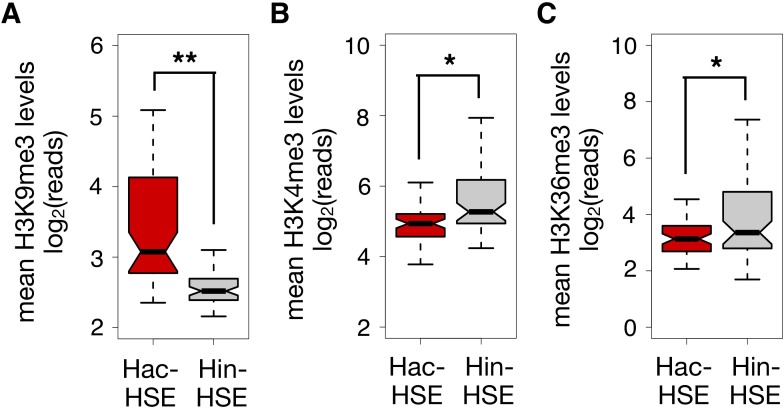 Figure 2—figure supplement 1.