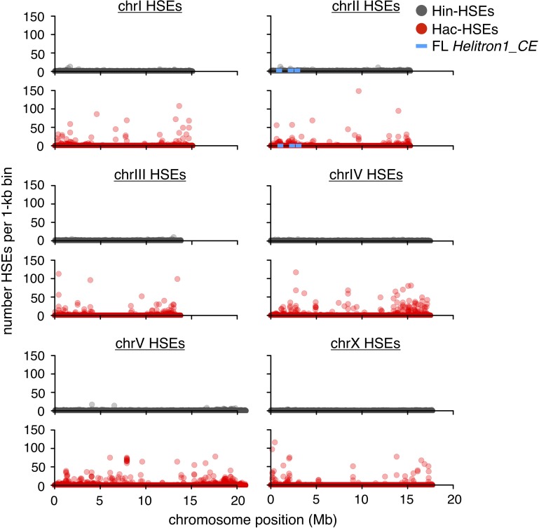 Figure 1—figure supplement 1.