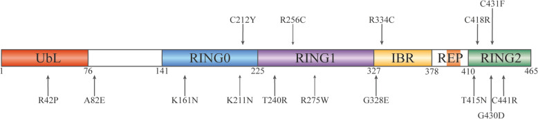 Fig. 8