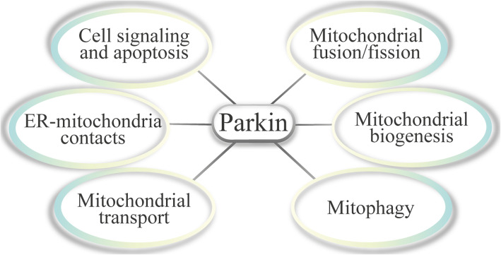 Fig. 3