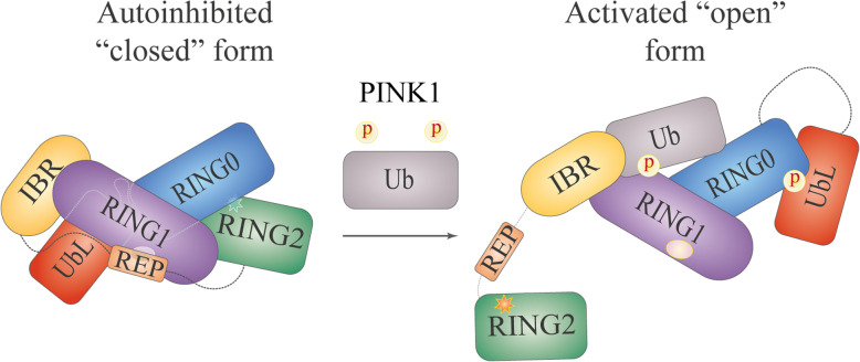 Fig. 2