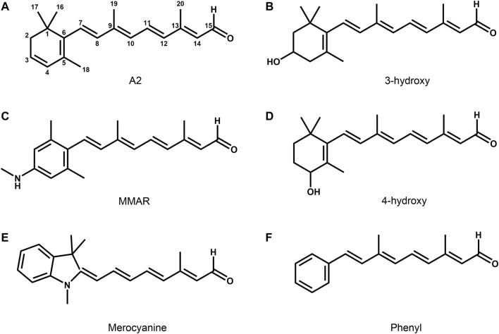 FIGURE 5