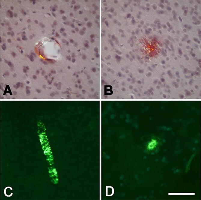 Fig. 9