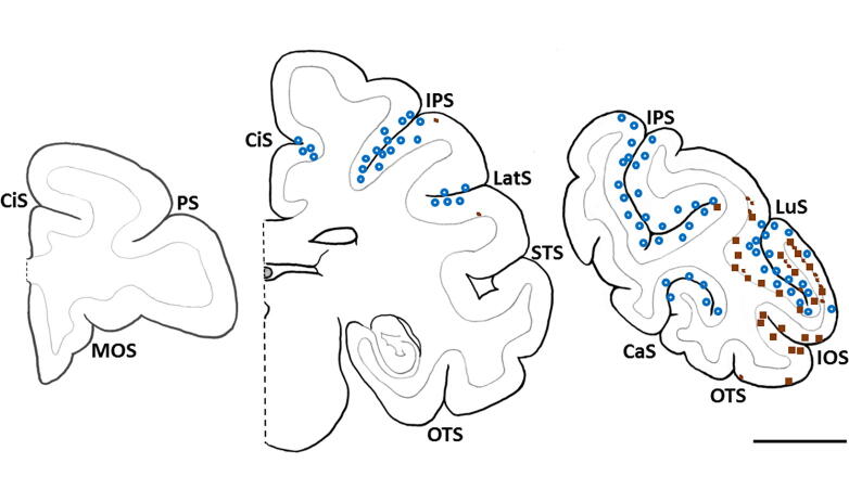 Fig. 8