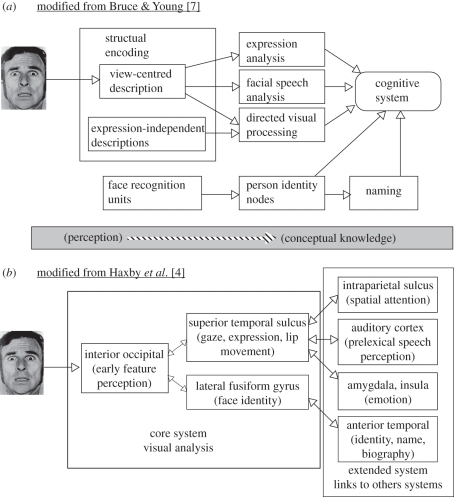 Figure 1.