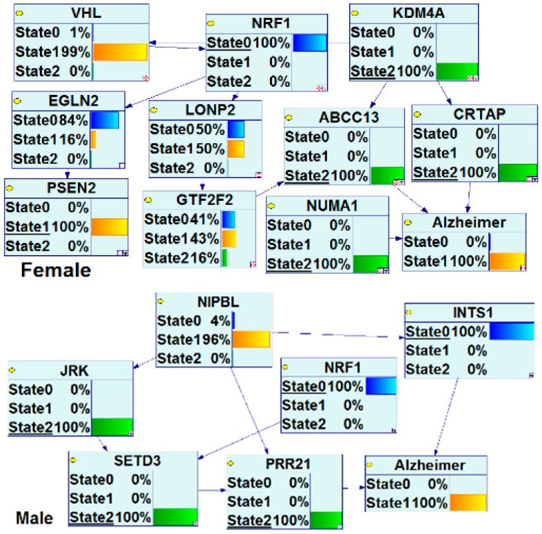 Figure 11