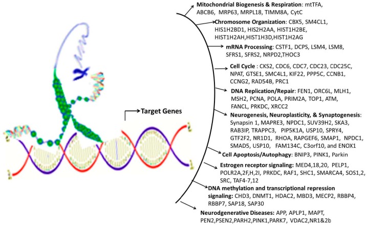 Figure 14