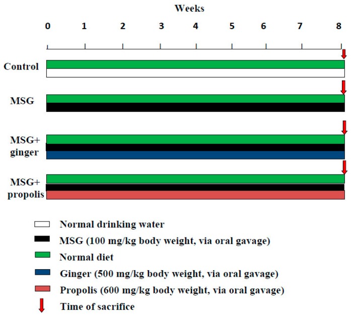 Figure 18