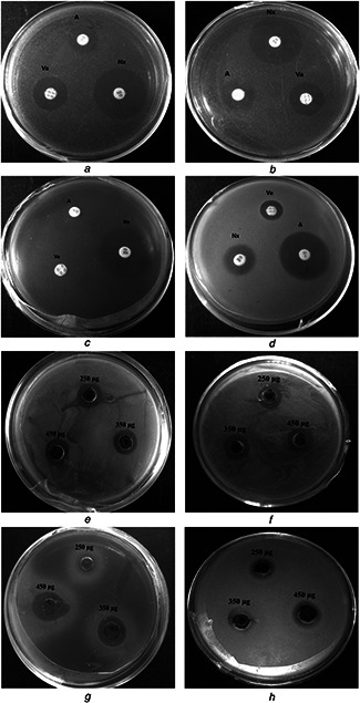 Fig. 8