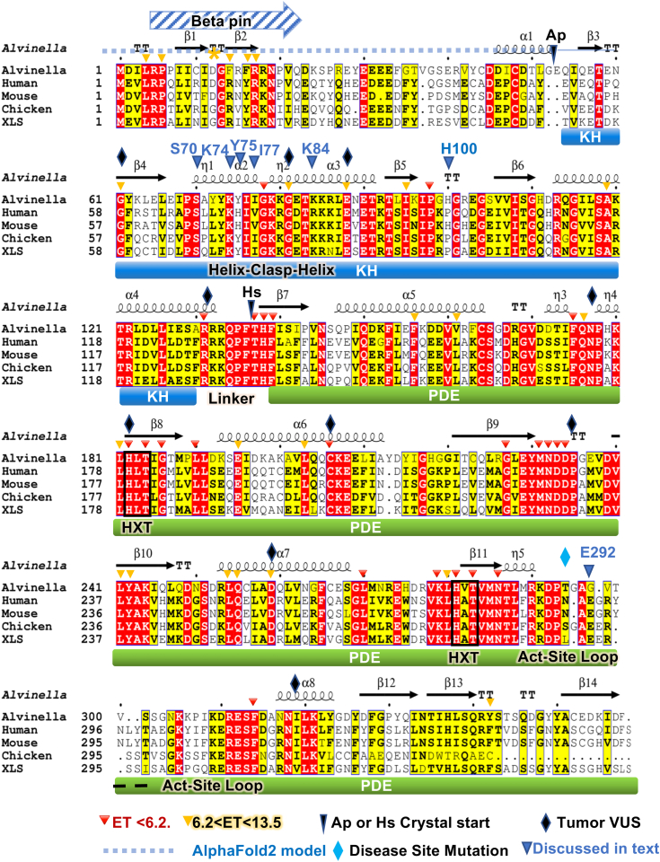 Figure 4