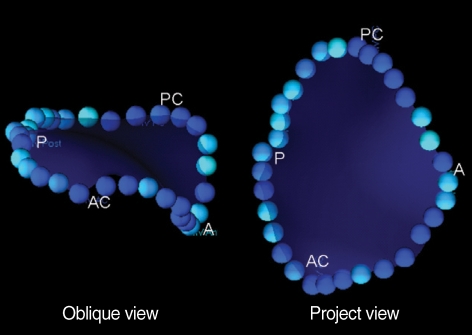 Fig. 5