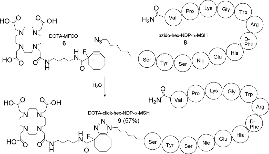 Scheme 3