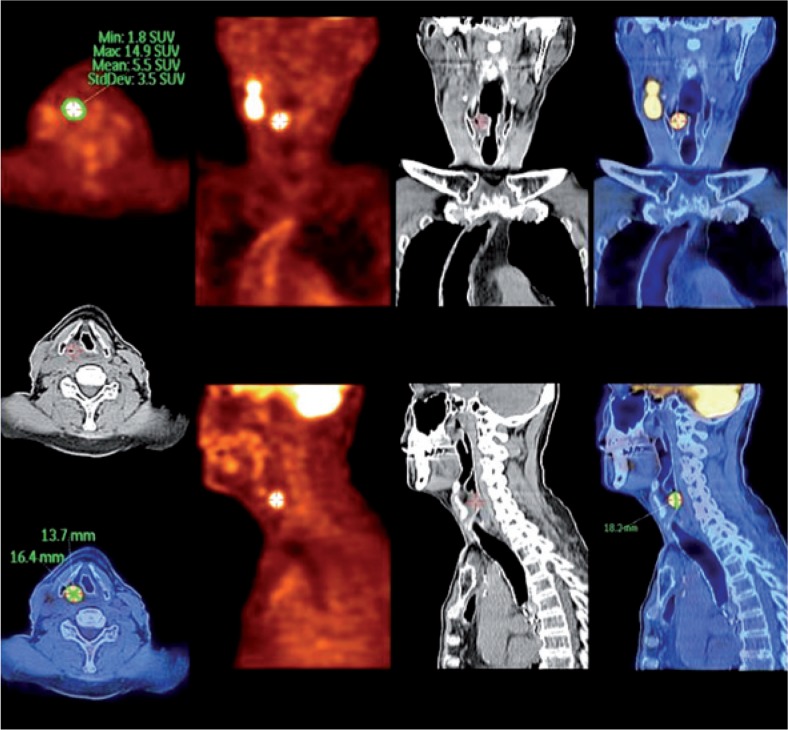 FIGURE 2.