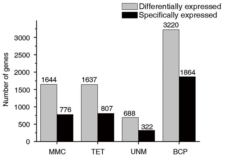 FIGURE 10