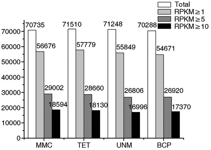 FIGURE 4