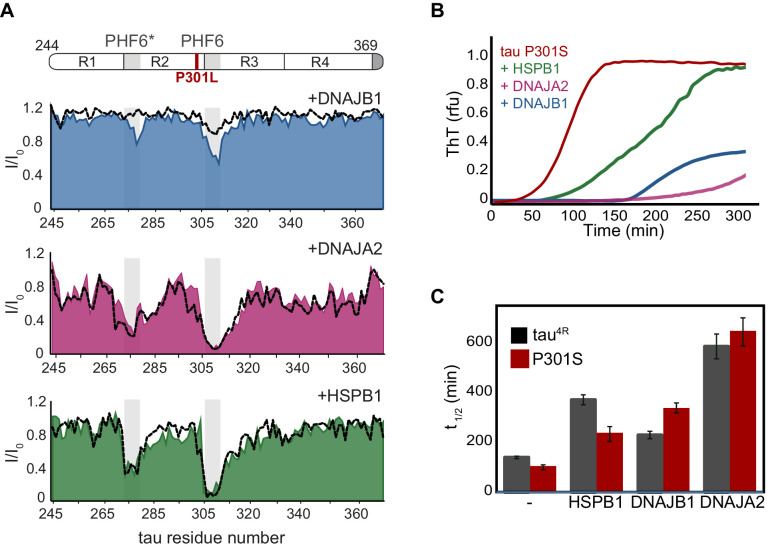 Figure 4—figure supplement 4.