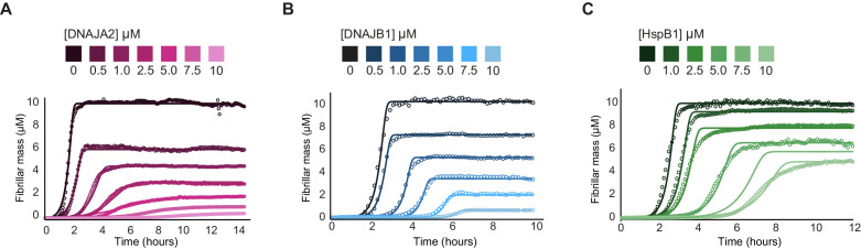 Figure 5—figure supplement 1.