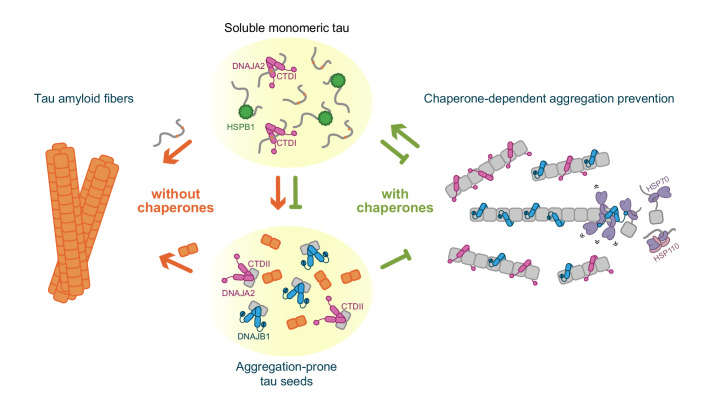 Figure 7.