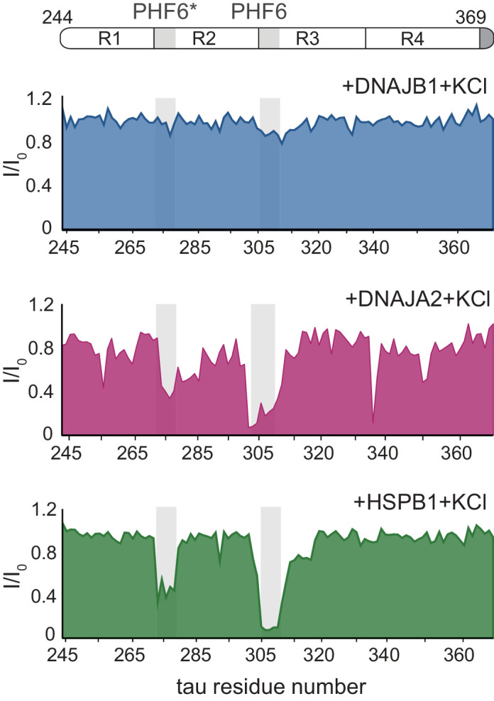 Figure 4—figure supplement 2.