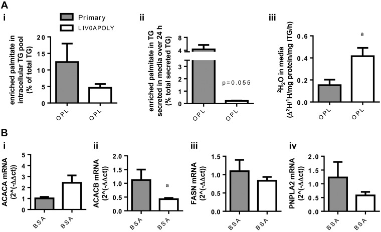 Fig. 9.