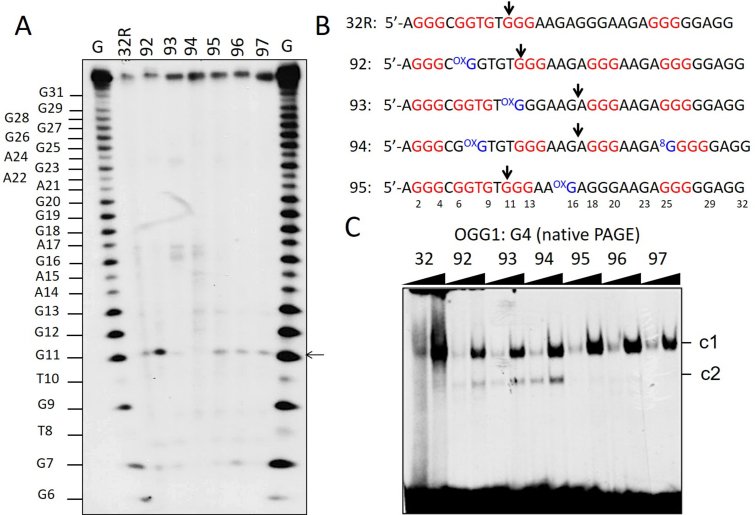 Figure 7.