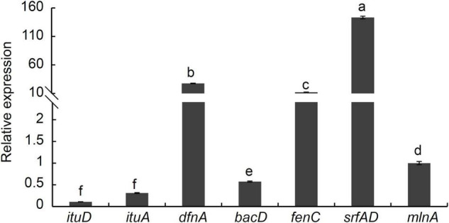 FIGURE 8