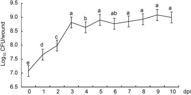 FIGURE 6