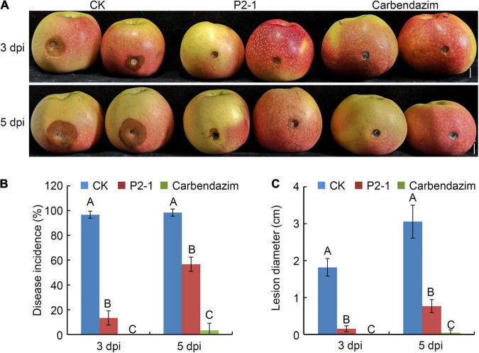 FIGURE 3