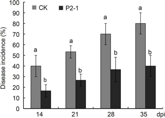 FIGURE 7