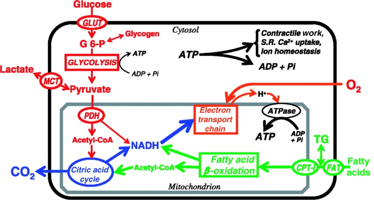 Figure 4