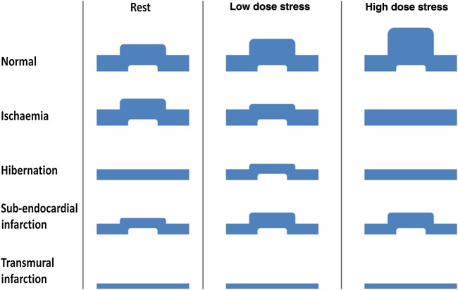 Figure 6