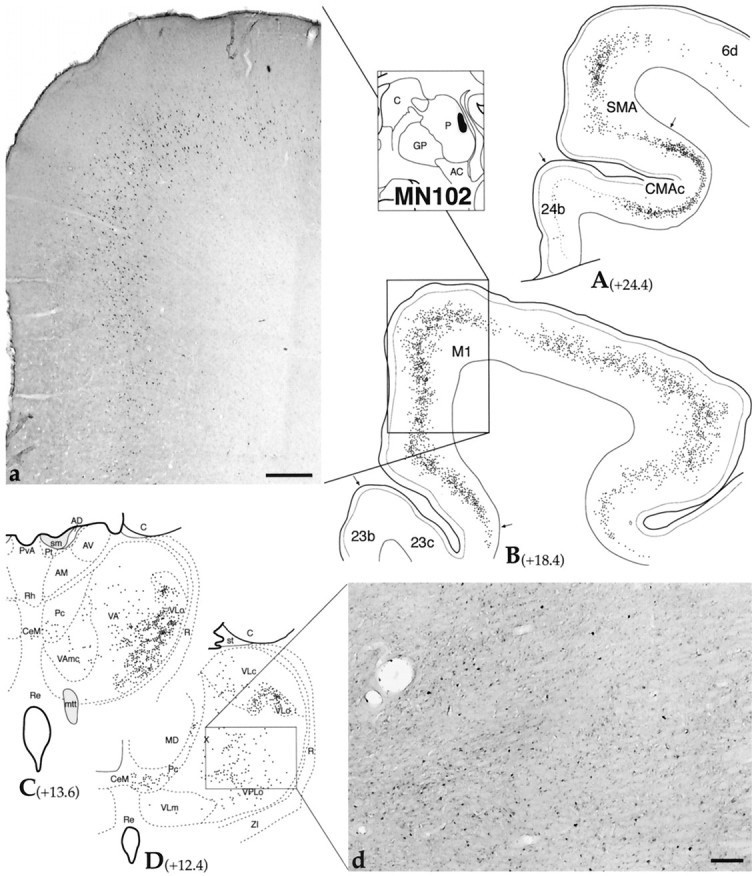 Fig. 4.