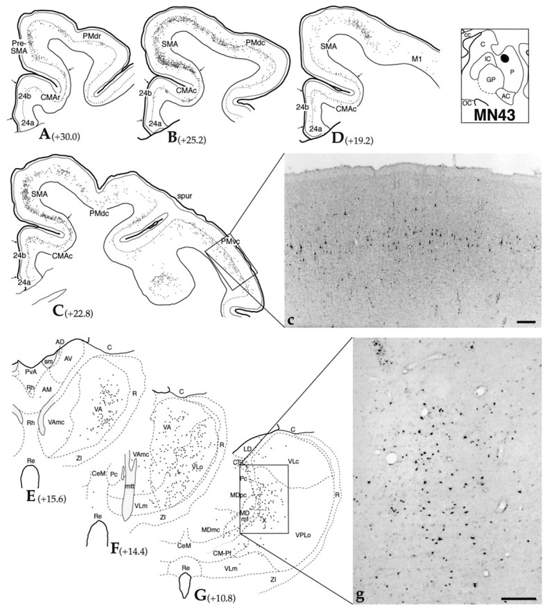 Fig. 7.